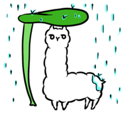 alpacakun! sticker #3098151