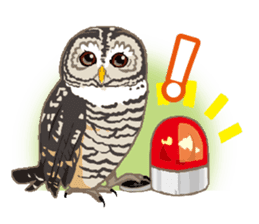 Bird owl parakeet parrot hawk falcon sticker #3098939