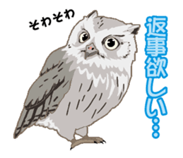 Bird owl parakeet parrot hawk falcon sticker #3098948