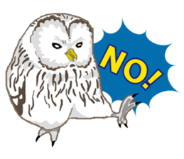 Bird owl parakeet parrot hawk falcon sticker #3098952