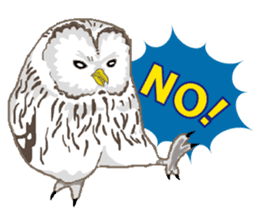 Bird owl parakeet parrot hawk falcon sticker #3098952