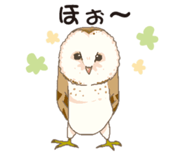 Bird owl parakeet parrot hawk falcon sticker #3098953