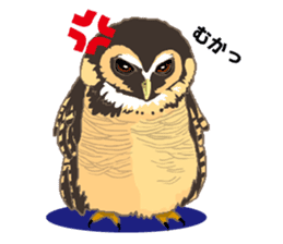Bird owl parakeet parrot hawk falcon sticker #3098954