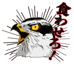 Bird owl parakeet parrot hawk falcon sticker #3098959