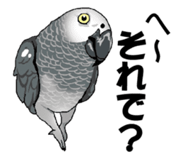 Bird owl parakeet parrot hawk falcon sticker #3098961