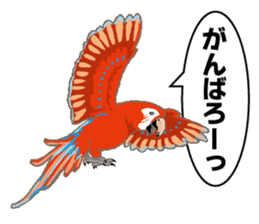 Bird owl parakeet parrot hawk falcon sticker #3098963