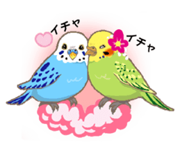 Bird owl parakeet parrot hawk falcon sticker #3098968
