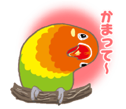 Bird owl parakeet parrot hawk falcon sticker #3098969