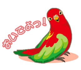 Bird owl parakeet parrot hawk falcon sticker #3098970
