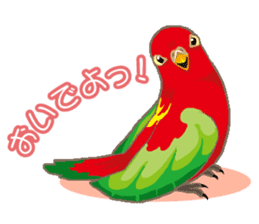 Bird owl parakeet parrot hawk falcon sticker #3098970