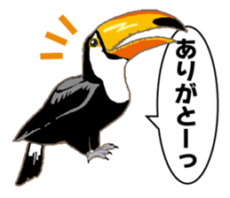 Bird owl parakeet parrot hawk falcon sticker #3098976