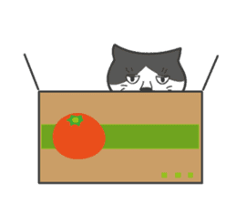 Everyday with Tai sticker #3099226