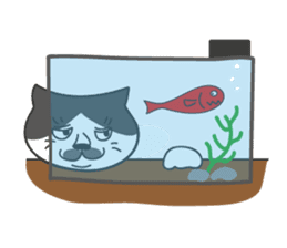 Everyday with Tai sticker #3099228