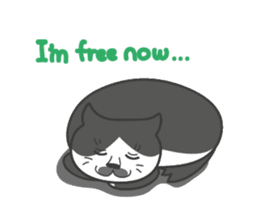 Everyday with Tai sticker #3099238