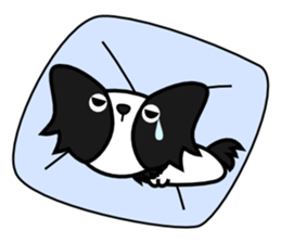 Cute Papillon sticker #3099882