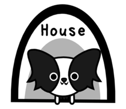Cute Papillon sticker #3099883
