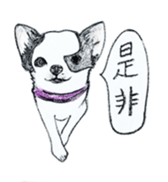 cow pattern's dog sticker #3100779