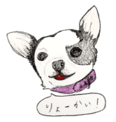 cow pattern's dog sticker #3100780