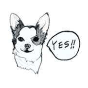 cow pattern's dog sticker #3100783