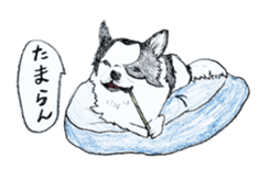 cow pattern's dog sticker #3100790