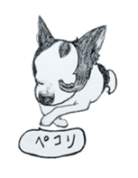 cow pattern's dog sticker #3100793