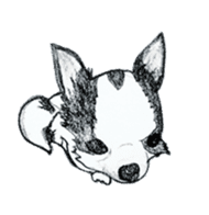 cow pattern's dog sticker #3100802