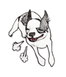 cow pattern's dog sticker #3100806