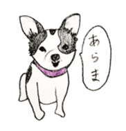 cow pattern's dog sticker #3100814