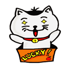 cat and box sticker #3101549