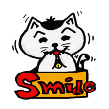 cat and box sticker #3101550