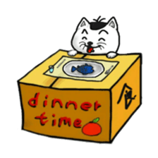 cat and box sticker #3101557
