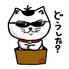 cat and box sticker #3101558