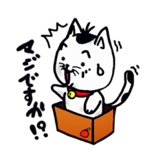 cat and box sticker #3101562