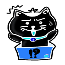 cat and box sticker #3101563