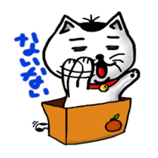 cat and box sticker #3101570