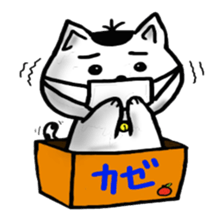 cat and box sticker #3101572