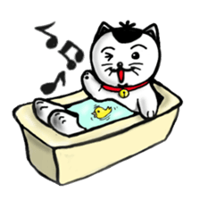 cat and box sticker #3101574