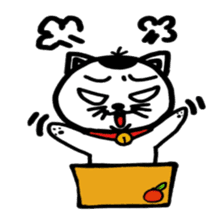 cat and box sticker #3101576