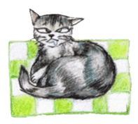 Pretty wild cats sticker #3103834