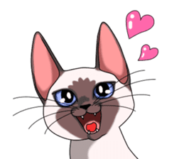 Cocoa of the Siamese cat sticker #3105427