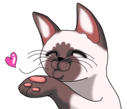Cocoa of the Siamese cat sticker #3105428