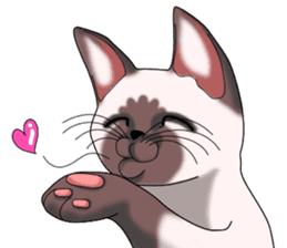 Cocoa of the Siamese cat sticker #3105428
