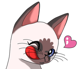 Cocoa of the Siamese cat sticker #3105429
