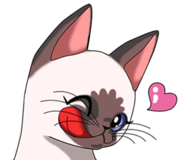 Cocoa of the Siamese cat sticker #3105429