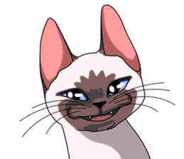 Cocoa of the Siamese cat sticker #3105432