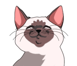 Cocoa of the Siamese cat sticker #3105433
