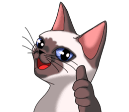 Cocoa of the Siamese cat sticker #3105436