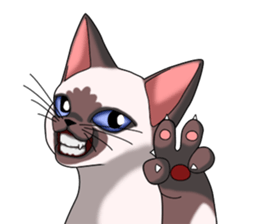 Cocoa of the Siamese cat sticker #3105439