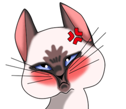 Cocoa of the Siamese cat sticker #3105446