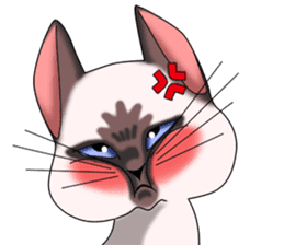 Cocoa of the Siamese cat sticker #3105446